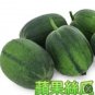 Fresh 20 Taiwan Apple Luffa Hybrid Seeds Very Sweet Can Be Eaten Raw Garden
