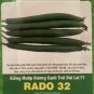 Fresh 20 Vietnamese Hybrid Smooth Luffa Seeds MướP Hương Xanh Trái Dài Lai F1 Rado 32 Garden