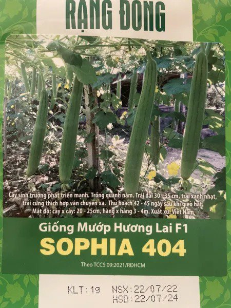 Fresh 20 Vietnamese Hybrid Smooth Luffa Seeds H&aacute;&ordm;&iexcl;T Gi&aacute;&raquo;�Ng M&AElig;&deg;&aacute;&raquo;�P H&AElig;&deg;&AElig;&iexcl;ng Lai F1 Sophia 404 Garden