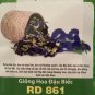 Fresh 50 Butterfly Pea SeedsđậU BiếCclitoria Ternateaasian Pigeon Wings Garden