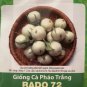 Fresh 100 White Mini Eggplant Seedseaster Egg Plantcà Pháo TrắNg Vn Garden