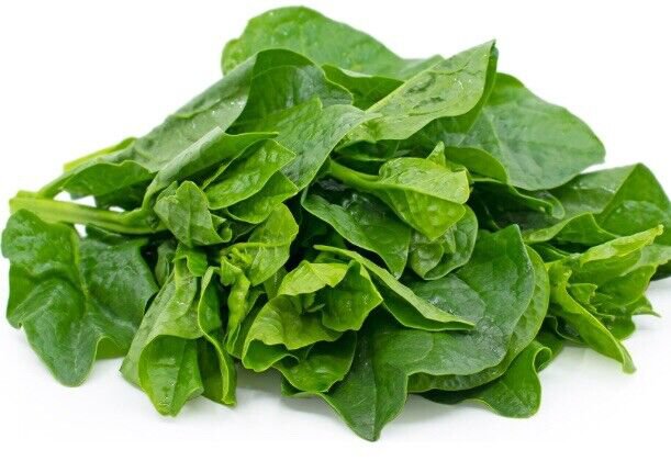 Fresh Usa 1 Oz 1000+ Green Stem Malabar Vietnamese Spinach Seeds Usa Garden