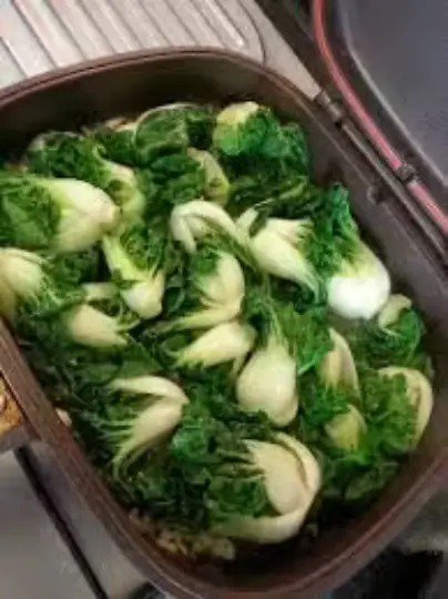 Fresh 1 Oz 12 000+ Dwarf Canton White Stem Pak Choi Seeds Naibaicai Garden