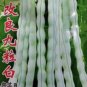 Fresh 120 Bai Bu Lao Chinese Romano Pole Bean Seeds Garden