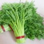 Fresh Rare Find Usa 3000 Komi Shungiku Seeds Long Stem Tong Ho Garden