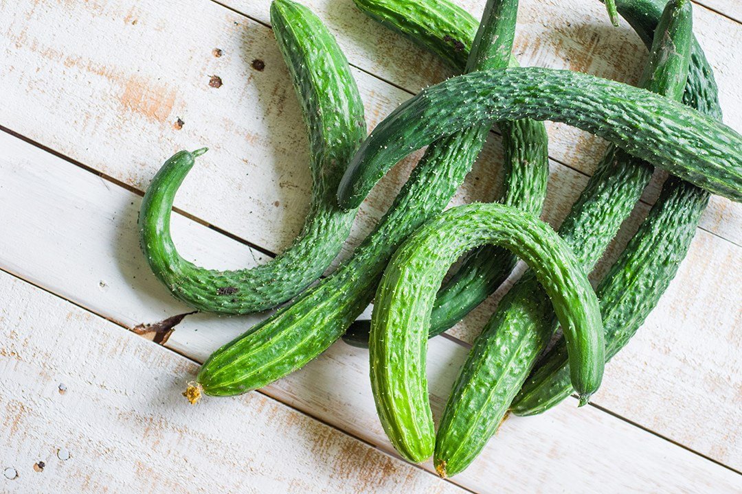 Fresh Usa 150 Organic Suyo Long Burpless Cucumber Seeds Garden