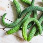 Fresh Usa 150 Organic Suyo Long Burpless Cucumber Seeds Garden