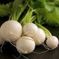 Fresh Usa 3000 Japanese Hakurei Hybrid Turnip Seedssalad Turnip Garden