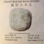 Fresh Giant Round Wax Gourd Seedswinter Melonash Gourddong Gua 40+ Pound Garden