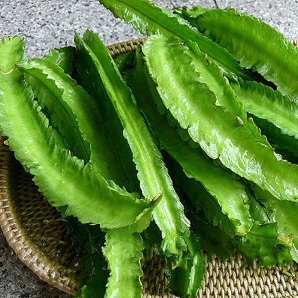 Fresh 1 Oz Winged Bean Seedsdara Dham Bala Four Angled Bean Manila/Goa/Dragon Bean Garden