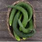 Fresh 60 Organic Suyo Long Sooyow Suhyo Burpless Japanese Cucumber Seeds Garden