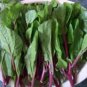 Fresh Usa 600 Red Stem Malabar Spinach Seeds Alugbati Pak Plang Jul 2022 Lot Garden