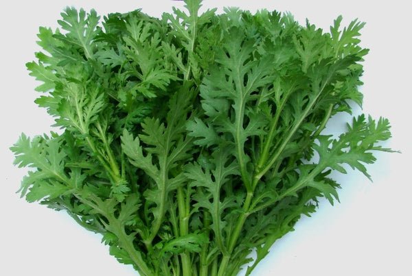 Fresh 1/4 Oz Medium Serrated Tong Ho/Hao Seeds Edible Chrysanthemumshungiku Garden