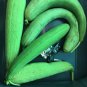 Fresh 20+ Edible Short Smooth Luffa Seedssponge Gourd Muop Huongnon Gmo Garden