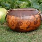 Fresh 1 Oz 100+ Bushel Gourd Seedsnoveltyfun To Growfor Basket Arts & Crafts Garden