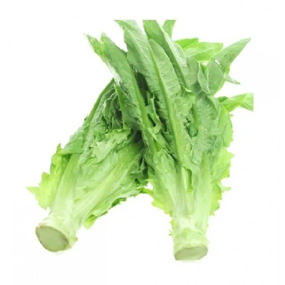 Fresh 1 Oz 20 000 A Choy / Aa Cai Seeds Taiwanese Sword Leaf Lettuce Garden