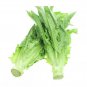 Fresh 1 Oz 20 000 A Choy / Aa Cai Seeds Taiwanese Sword Leaf Lettuce Garden