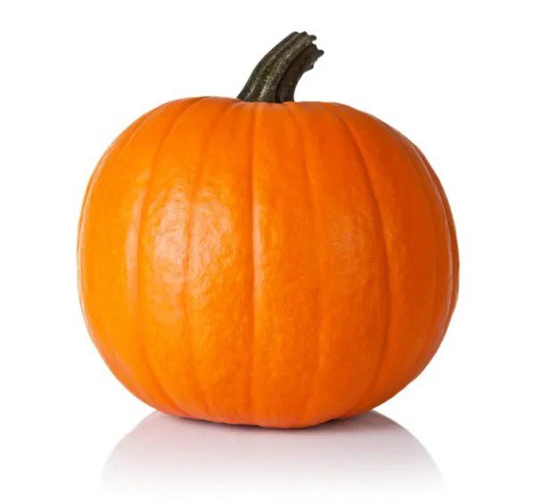 Fresh Spartan Pumpkin Seeds For Planting (10 Seeds) All American Favorite 20 Pound Garden