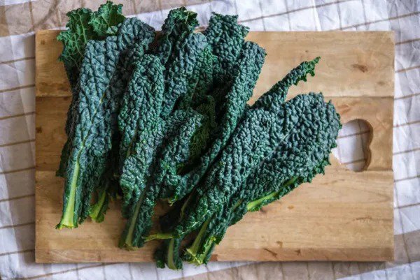 Fresh Black Magic Kale Seeds For Planting (200 Seeds) Grow Your Own Food Garden