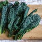 Fresh Black Magic Kale Seeds For Planting (200 Seeds) Grow Your Own Food Garden