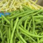 Fresh Jade Green Bean Seeds For Planting (50 Seeds) Hairless Green Beans Garden