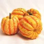 Fresh Celebration Squash Seeds For Planting (10 Seeds) Exotic And Hard To Find Pumpk Garden