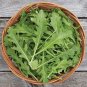 Fresh Arugula Uber Seeds For Planting (50 Seeds) Big Yields And Fast Growing Garden