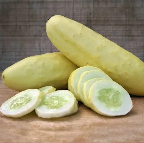 Fresh Silver Slicer Cucumber Seeds For Planting Marketmore Cucumbers (50 Seeds) Garden