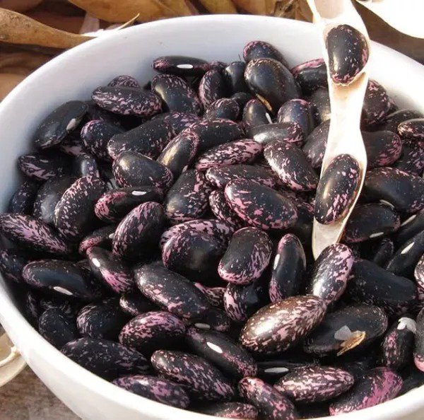 Fresh Scarlet Emperor Runner Bean Seeds For Planting (20 Seeds) Delicious And Easy T Garden