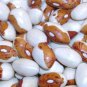 Fresh Hidatsa Shield Bean Seeds For Planting (20 Seeds) Garden