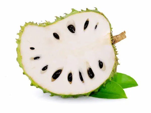 Fresh Soursop Fruit Tree Seeds For Planting 5 Seeds Annona Muricata Great For Bo Garden