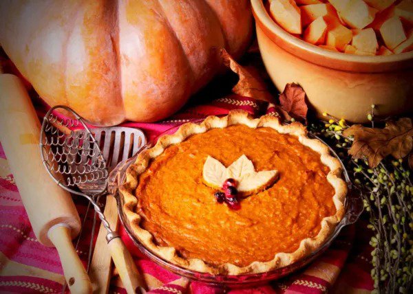 Fresh Pumpkin Pie Pumpkin Seeds For Planting (20 Seeds) Grow Sugar Sweet Pumkins Gr Garden