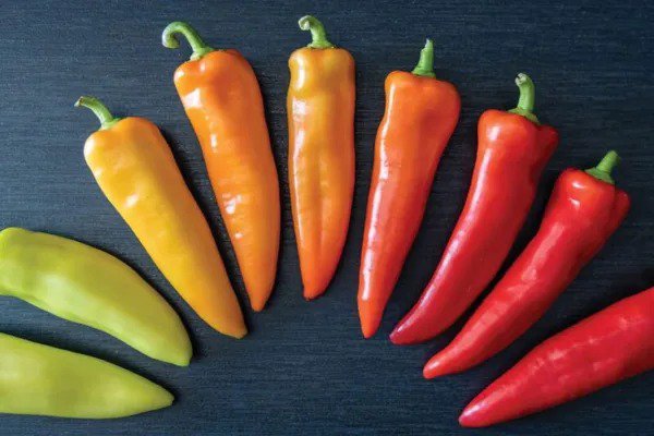 Fresh Hungarian Hot Wax Pepper Seeds For Planting (30 Seeds) Grow Your Own Delicious Garden