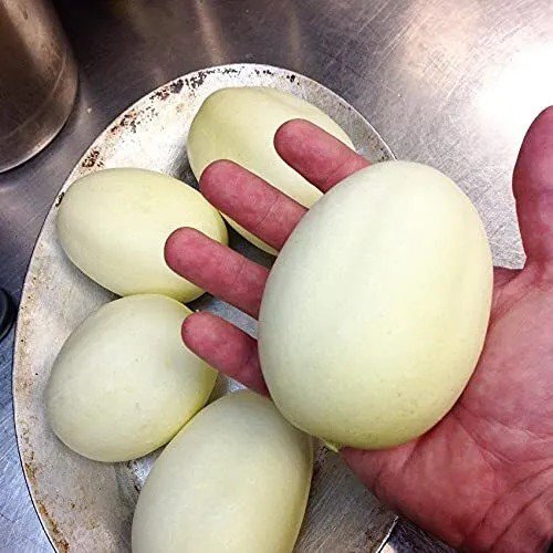 Fresh Dragon Eggs Seeds For Planting 30 Seeds Grow Delicious White Cucumbers Garden