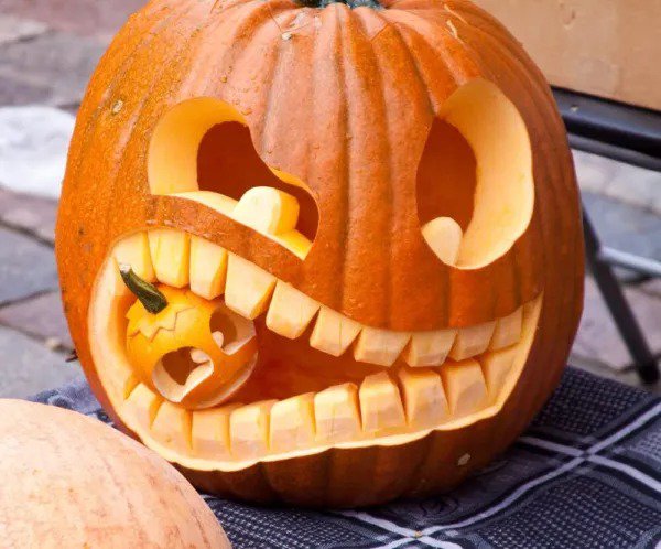 Fresh 20 Big Max Pumpkin Seeds For Planting Great For Jack O Lantern Garden
