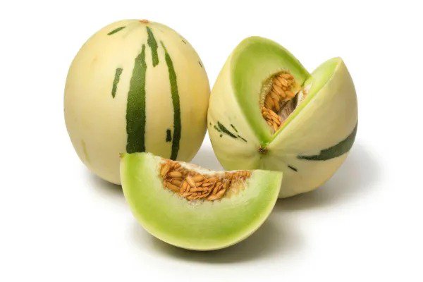 Fresh 10 White And Green Melon Seeds Very Rare Ships From Iowa Usa Garden