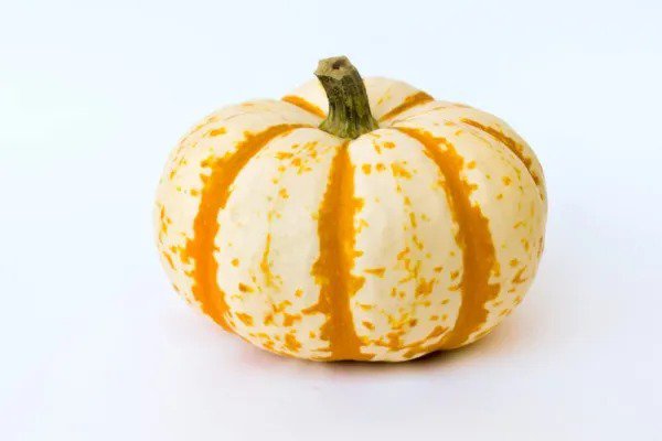 Fresh 10 Dwarf Tiger Striped Pumpkin Seeds Colorful Fall Decor 10 Seeds Garden