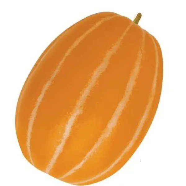Fresh 10 Korean Melon Seeds Rare Orange Skinned Melon Dae Jang Geum Garden