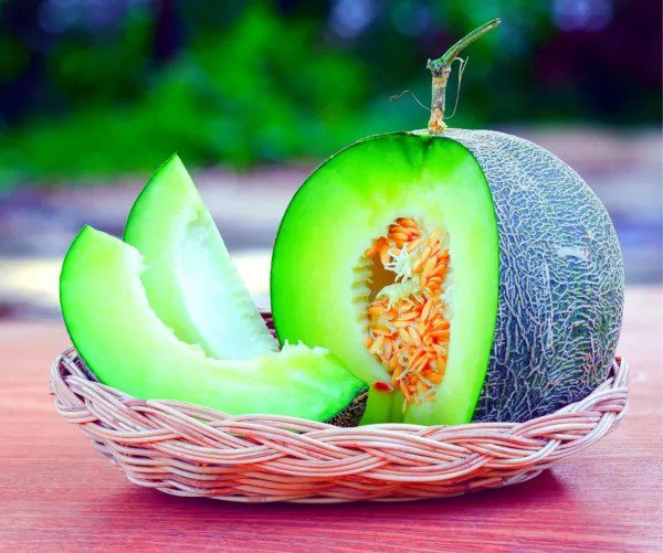 Fresh 30 Rocky Ford Sweet Melon Seeds For Planting Melons Full Of Flav Garden