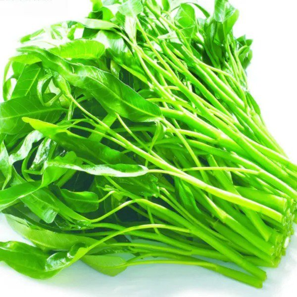 Fresh The Rike 2000 Kangkong Seeds Ong Choy Rau Muong Swamp Cabbage Tangkong Kangkun Garden