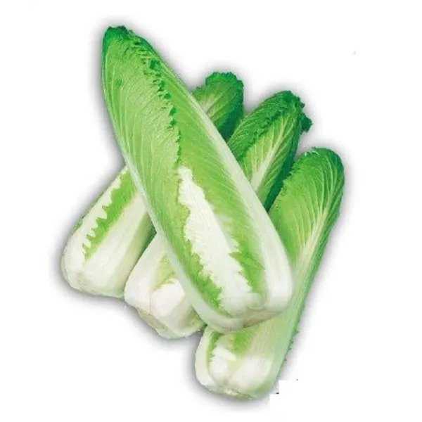 Fresh 30 Green Rocket Cabbage Seeds Edible Chinese Cabbage Seeds Ships From Iowa Garden