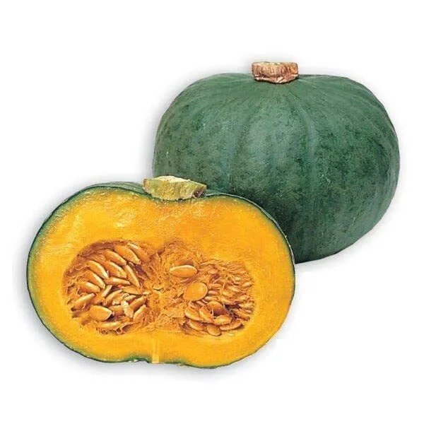 Fresh Blue Kuri Squash Seeds For Planting 10 Seeds To Grow Ships From Iowa Usa Garden