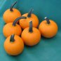Fresh Kandy Korn Plus Pumpkin Seeds For Planting (10 Seeds) True Mini Pumpkin Look A Garden