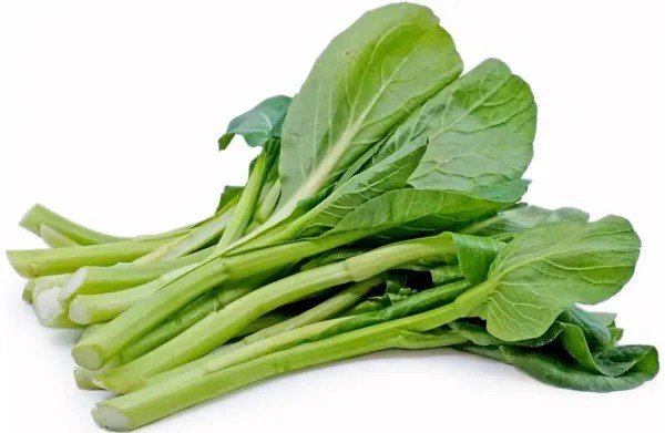 Fresh 100+ Yu Choy Sum Seeds Jung Green Vegetable Seeds For Planting Outdoor Home Garden