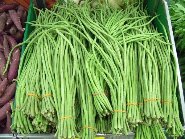 Fresh Asian Long Bean Seeds For Planting (30 Seeds) Fast Growing Variety Sweet Tende Garden