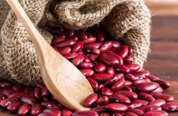 Fresh Red Kidney Bean Seeds For Planting 30 Seeds Very Healthy Garden