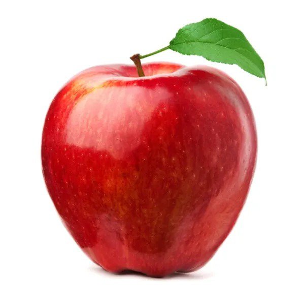 Fresh Amazing Andrea Apple Tree Seeds 20 Seeds Grow Apples Garden