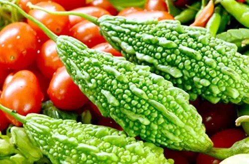 Fresh Green Bitter Gourd Vine Seeds For Planting 10 Seeds Rare And Hard To Find. S Garden