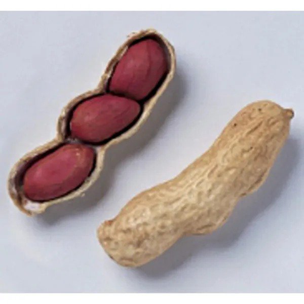 Fresh Tennessee Red Valencia Peanuts Seeds (20+ Seeds) Non Gmo Vegetable Fruit Her Garden
