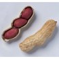 Fresh Tennessee Red Valencia Peanuts Seeds (20+ Seeds) Non Gmo Vegetable Fruit Her Garden